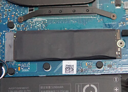 PCIe-4.0-SSD von Samsung.