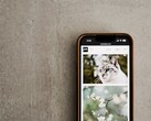 Smartphone auf grauem Untergrund, auf dem Display eine Galerie mit Fotos von Katzen und Blumen