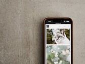 Smartphone auf grauem Untergrund, auf dem Display eine Galerie mit Fotos von Katzen und Blumen