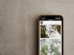 Smartphone auf grauem Untergrund, auf dem Display eine Galerie mit Fotos von Katzen und Blumen
