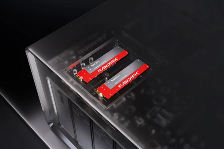 Zwei Sandisk NAS 800 SSDs in einem NAS-Gehäuse eingebaut