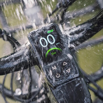 Ein großes Display ist vorhanden (Bildquelle: Fiido)