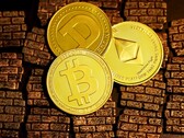 Elon Musks Crypto-Portfolio beinhaltet keinen Shiba Inu Coin, sondern besteht lediglich aus Bitcoin, Ethereum und Dogecoin (Bild: Executium)