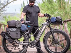 Das Titan 2025 ist ein vielseitig nutzbares, recht schweres E-Bike (Bildquelle: Fiido)