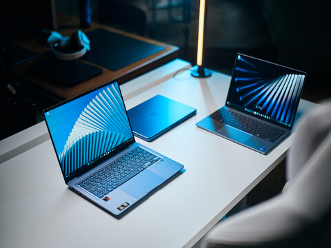 Das Asus Zenbook 14 stellt sich dem Macbook Neo und dem XPS 13.