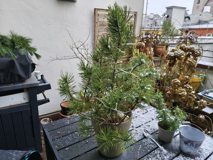 Aufnahme aus der Hauptkamera