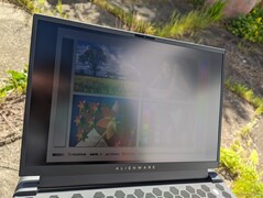 Im Freien bei Sonnenlicht