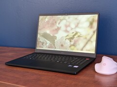 LG Gram Book 15U55T Laptop im Test: Viele Kompromisse