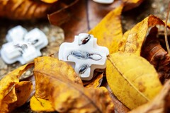 Deck Buttons bietet sechs unterschiedliche, transparente D-Pads mit integrierten Insekten. (Bild: Deck Buttons)