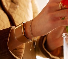 Garmin soll eine Alternative zu Whoop 5.0 entwickeln. (Bildquelle: Whoop)