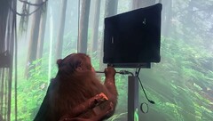 Neuralink will mit seiner Technik langfristig gelähmten Menschen helfen (Bild: Neuralink/Screenshot)