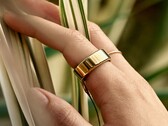 Der Oura Smart Ring erhält durch das jüngste Update mehrere Verbesserungen. (Bildquelle: Oura)