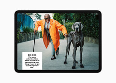 Apple ignoriert das Problem noch. (Bild: Apple)