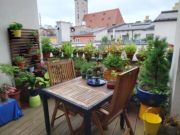 Aufnahme Hauptkamera