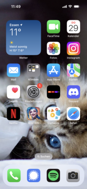 Homescreen mit inaktiver Dynamic Island