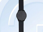 Die Vivo Watch 2 zeigt sich bei der TENAA. (Bild: TENAA via Digital Chat Station/weibo)
