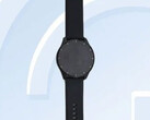 Die Vivo Watch 2 zeigt sich bei der TENAA. (Bild: TENAA via Digital Chat Station/weibo)