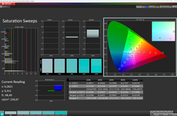 CalMAN - Sättigung (Lebhaft, P3)