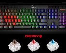 Hochwertige Cherry-Switches: Gaming-Tastaturen müssen viel aushalten.