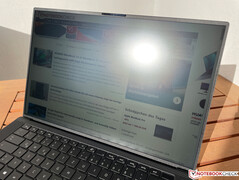 In der Sonne (mit Reflexion)