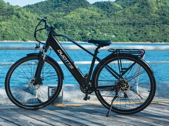 C29 Lite: E-Bike gibt es aktuell günstig (Bildquelle: Duotts)
