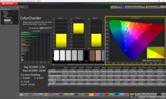 Calman Colorchecker kalibriert
