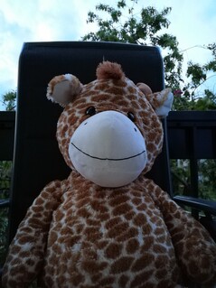 Huawei P30 Lite | Foto-Modus