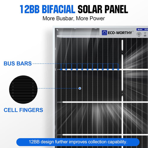 Bifaziales Solarmodul mit 12BB (Bildquelle: Eco-Worthy)