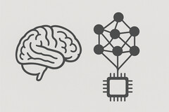 KI soll denken wie das menschliche Gehirn: Dragon Hatchling (BDH) kopiert Neuronen für unbegrenzten Kontext und höhere Effizienz (Bildquelle: GPT-image-1)