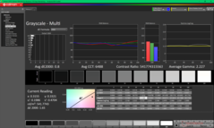 Graysacle vor der Kalibrierung (P3)