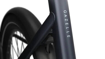 Es dominieren eher schlankere Formen (Bildquelle: Gazelle)