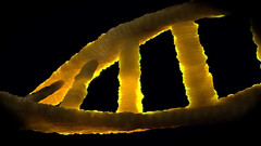 Hacken auf höchstem Niveau: Malware in DNA eingeschleust