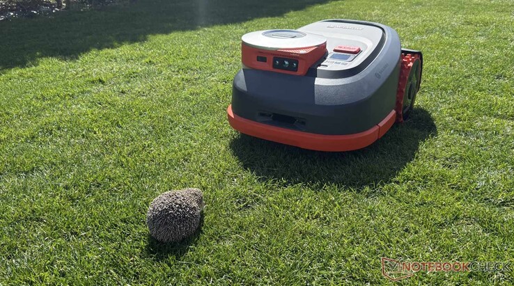 Unsere Igel-Attrappe hat der Navimow H2 im Test zuverlässig erkannt.