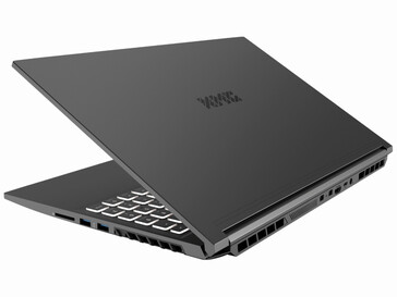 Wie von dem Hersteller gewohnt finden sich einige Anschlüsse auf der Rückseite (Bild: Schenker)