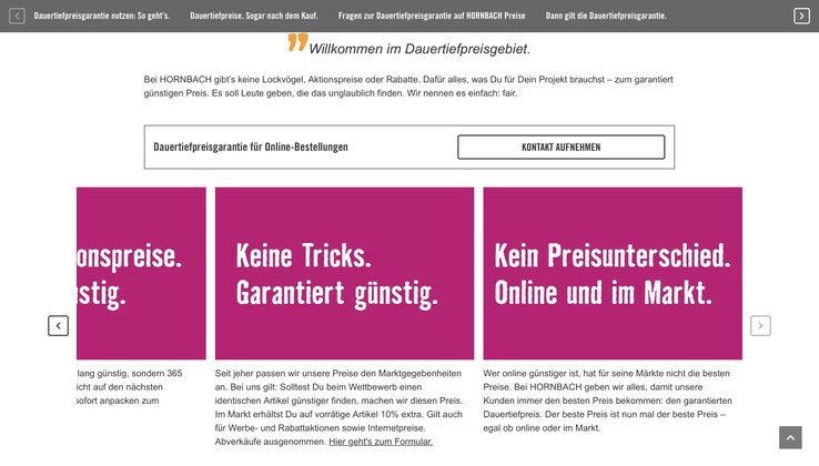 Der Screenshot zeigt einen kleinen Auszug aus den auf der Hornbach-Website detailliert beschriebenen Bedingungen zur Dauertiefpreisgarantie (Bildquelle: Hornbach, Screenshot)