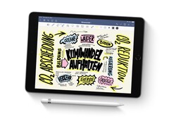 Das Apple iPad der 8. Generation gibt es derzeit zum Bestpreis, genau wie das iPad der 9. Generation. (Bild: Apple)