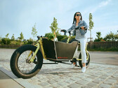 Ruff Cycles bringt mit dem Cargo Buddy ein neues und stylisches E-Lastenrad auf den Markt. (Bild: Ruff Cycles)
