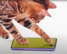 Katzen spielen mit dem neuesten Gaming-Flaggschiff von Nubia. Das RedMagic 7 soll es auch mit Under-Display-Kamera geben, erstmals bei einem Gaming-Phone.