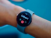 Die Google Pixel Watch wird mit einem Sportarmband ausgeliefert, das für Handgelenke aller Größen passen soll. (Bild: TechDroider)