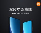 Xiaomi 12 Pro und das kleinere Xiaomi 12 werden bereits im ersten offiziellen Teaserplakat von vorne abgebildet, der Launch am 28. Dezember ist bestätigt.
