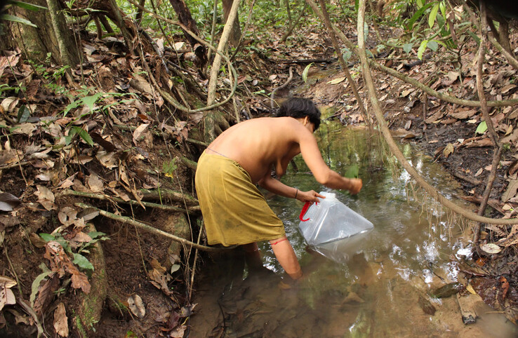 Frau beim Wasserschöpfen an einem Fluss (Bild: Yanomami Foundation)