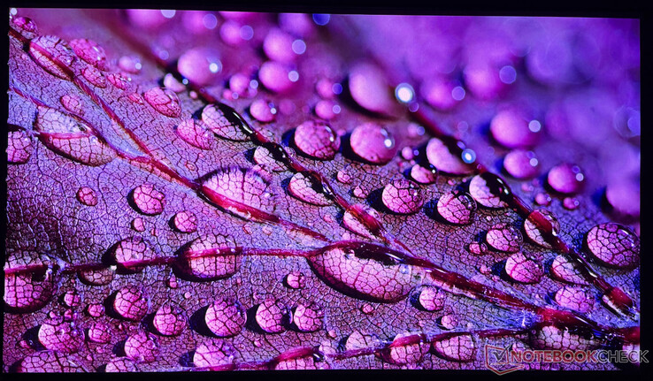 Das verwendete iPhone 16 Pro kann die Bildqualität des Aetherion Max nur bedingt einfangen.