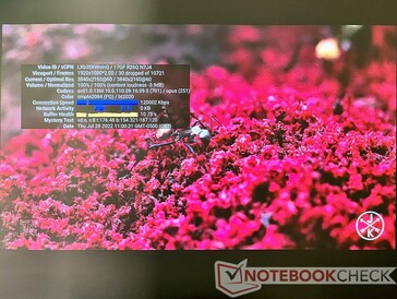 Die Aura streamt 4K60-Inhalte von YouTube ohne große Probleme. Nach einem anfänglichen Buffer gab es keine dropped frames.