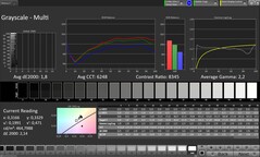 CalMAN Graustufen – Hauptdisplay
