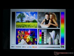 Großzügige IPS-Blickwinkel