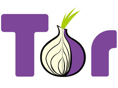 Das Logo des Tor-Netzwerks