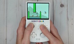 Mit dem Wiiboy Color lassen sich Wii-Spiele unterwegs stilecht zocken. (Bild: GingerOfMods, YouTube)