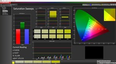 CalMAN: Farbsättigung