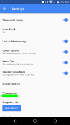Google Duo V 31 Einstellungen