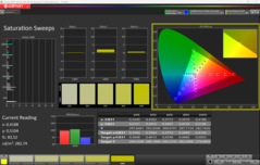 CalMAN Sättigung (sRGB)